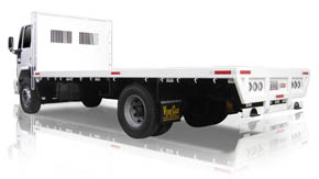 CAMION PLATAFORMA